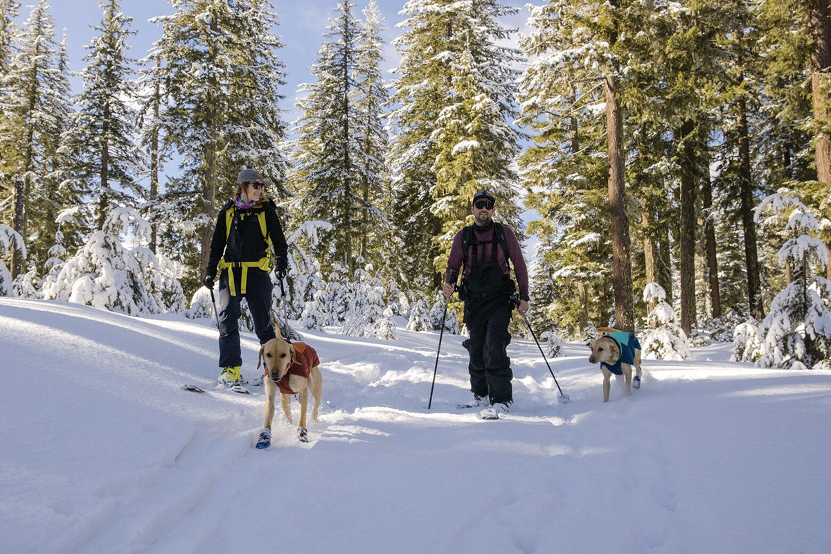 Ruffwear skijoring outlet