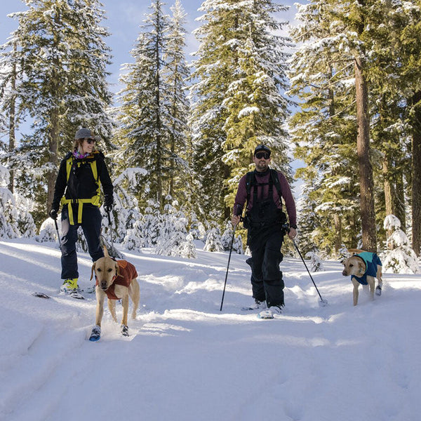 Two humans ski alongside their dogs who are wearing Ruffwear Jackets