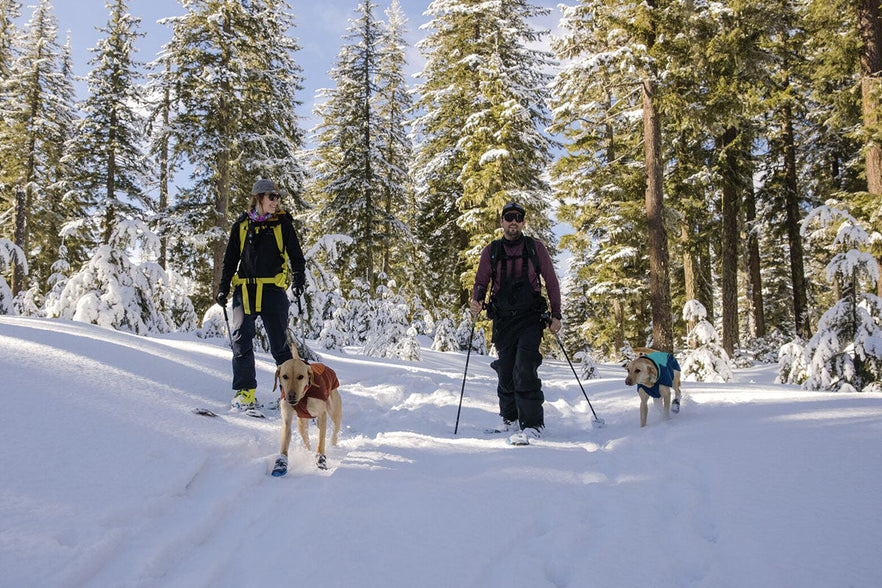 Tips for Cold Weather Adventures and First Aid for Dogs Ruffwear