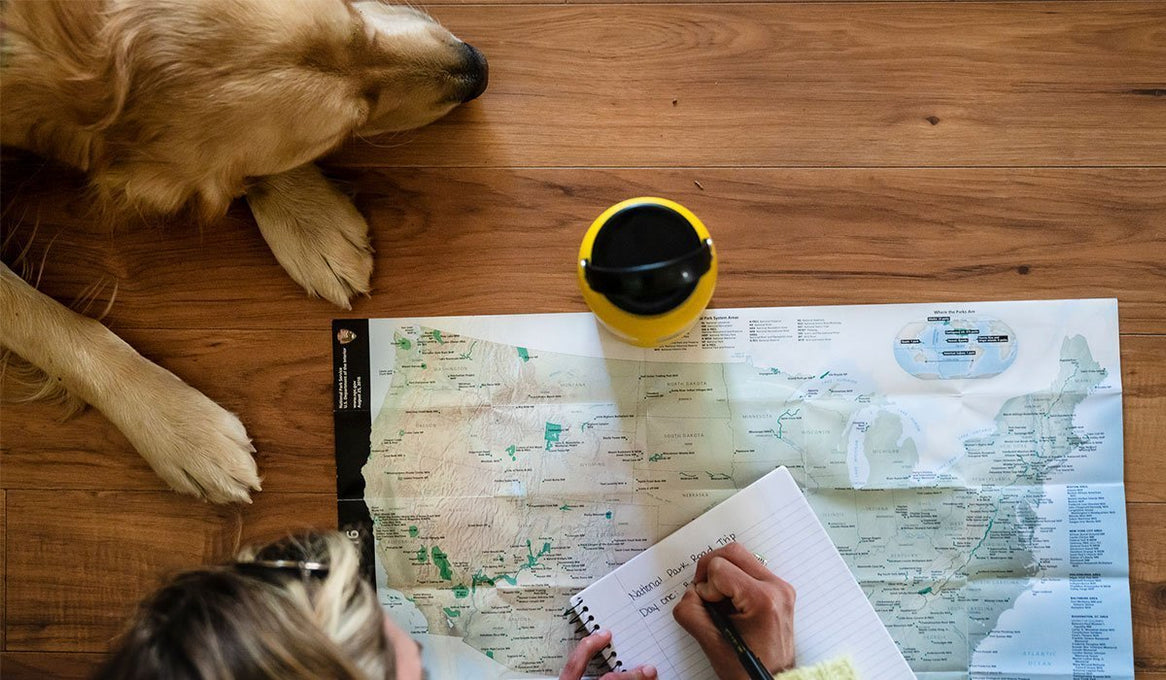 Woman writing in journal next to map with hydroflask, while dog sleeps at her side.