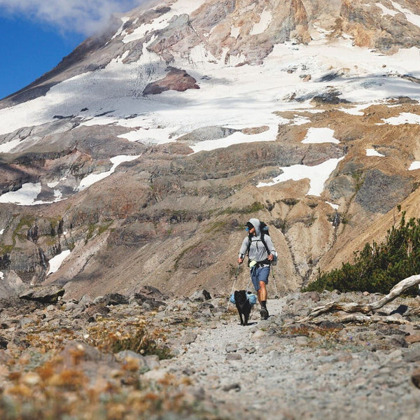 Alex and Raya backpack on Mt. Hood