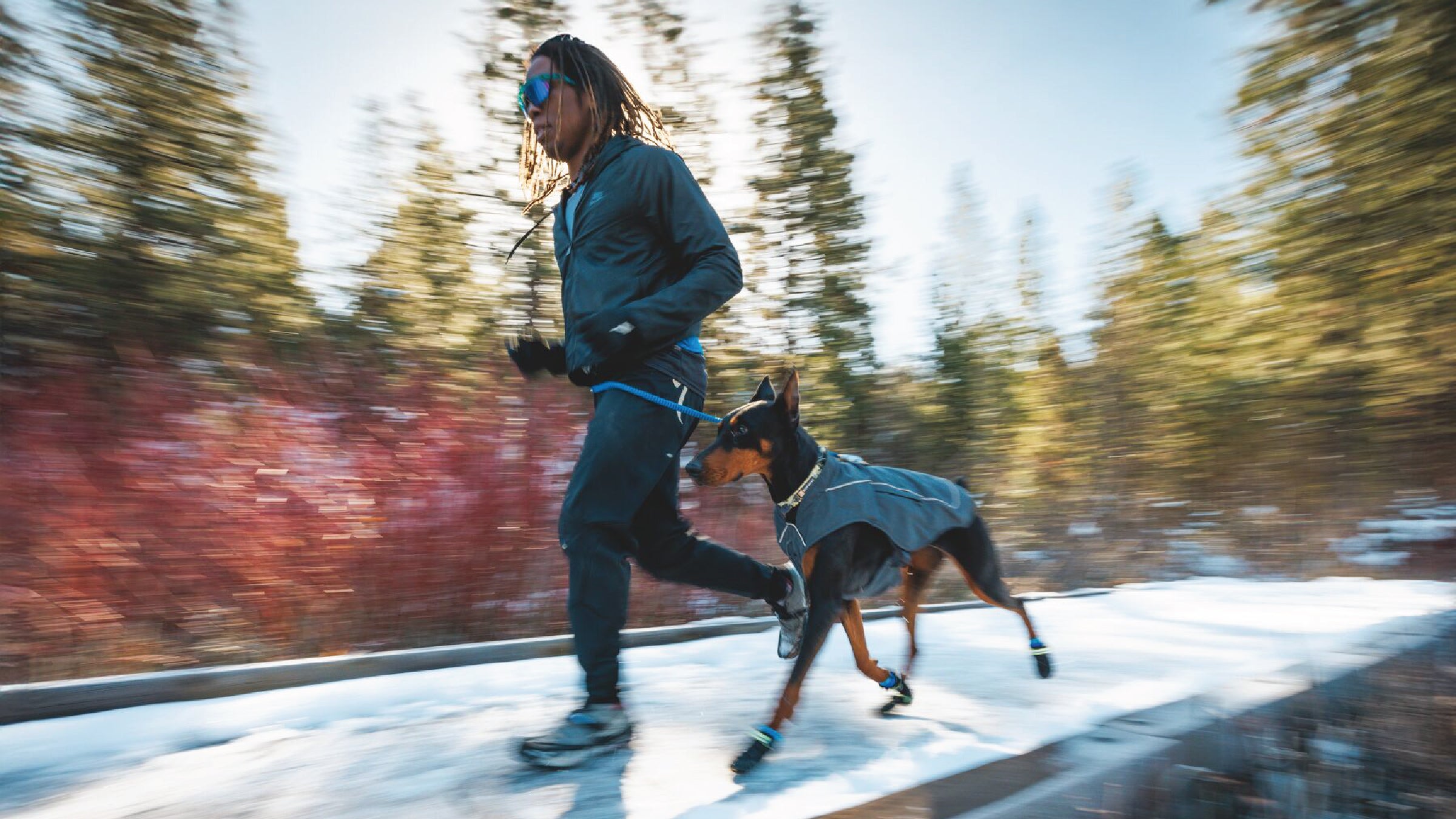 Ruffwear guide outlet dog harness