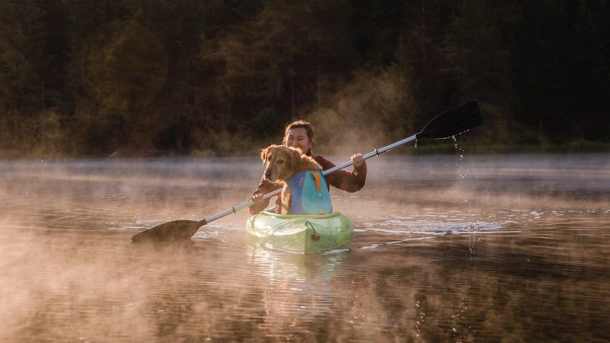 Lifejackets hotsell for dogs