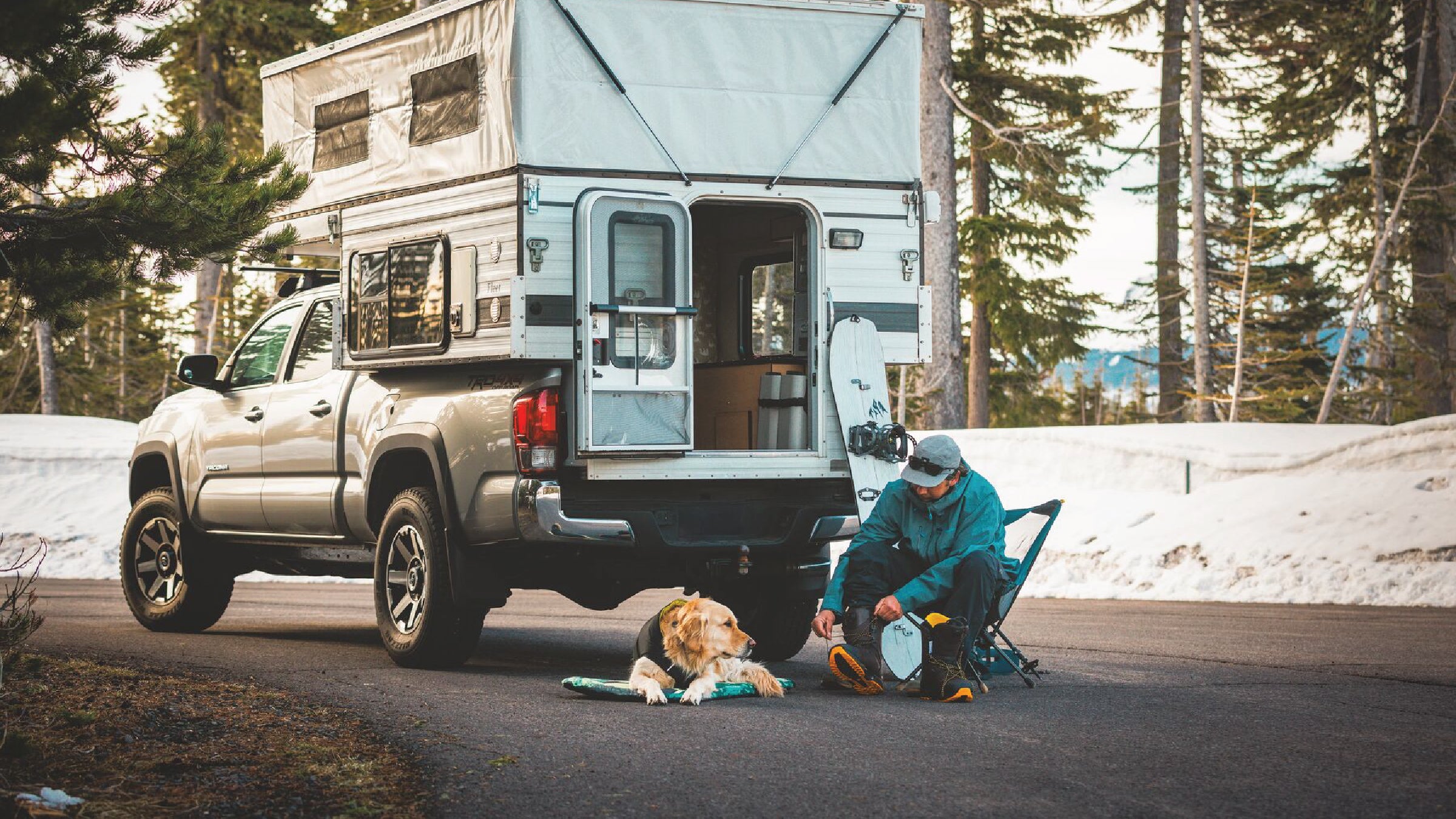 Best store dog gear