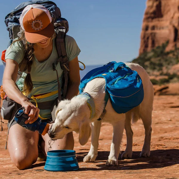 A man mountain bikes with his dog on the trail.