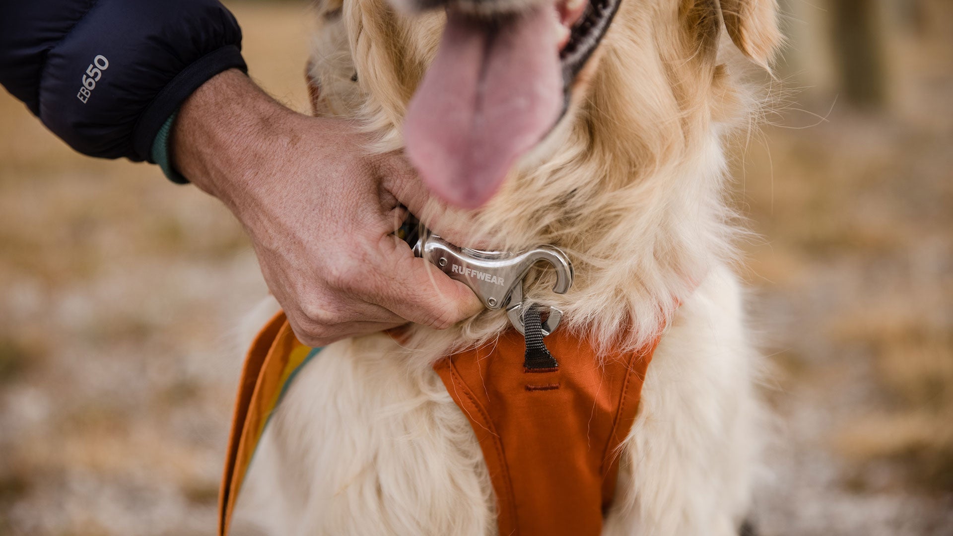 Overcoat Fuse Dog Coat with Built In Harness Ruffwear