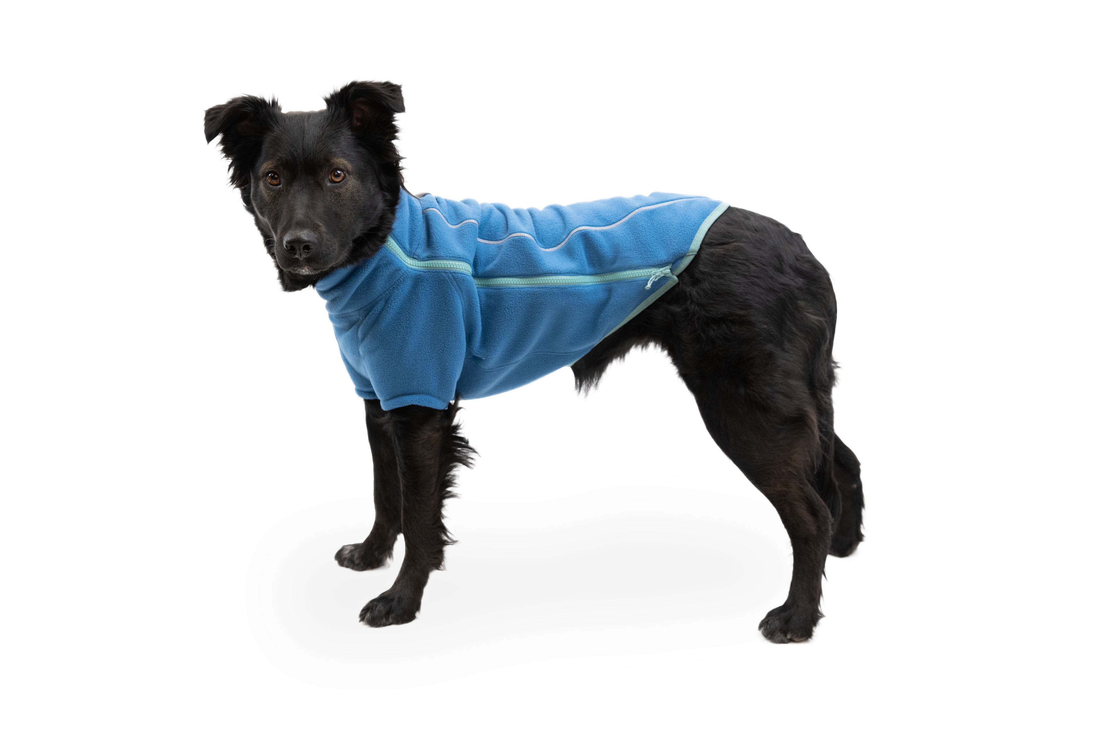 Climate Changer Dog Fleece Sweater Ruffwear