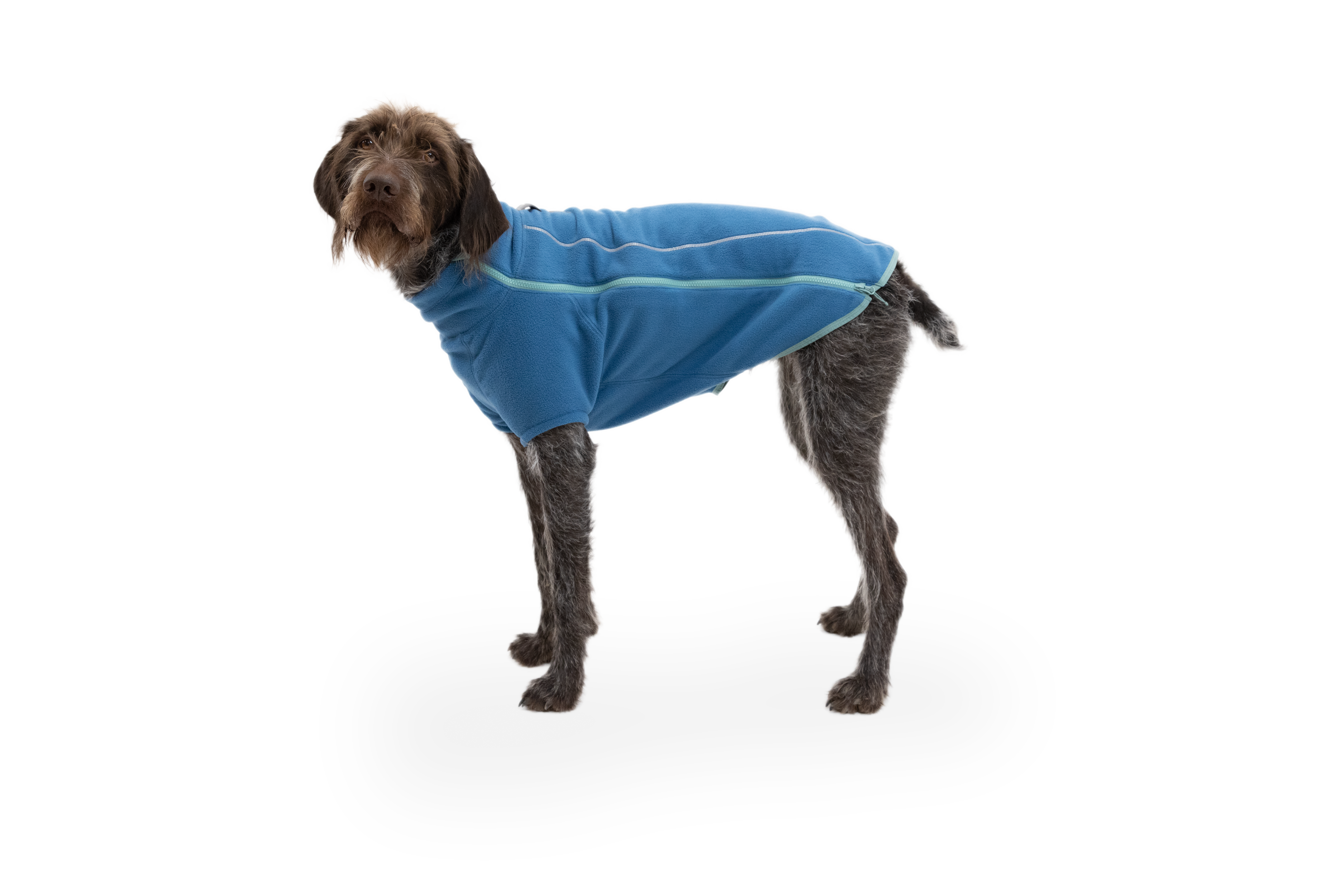 Ruffwear climate best sale changer jacket