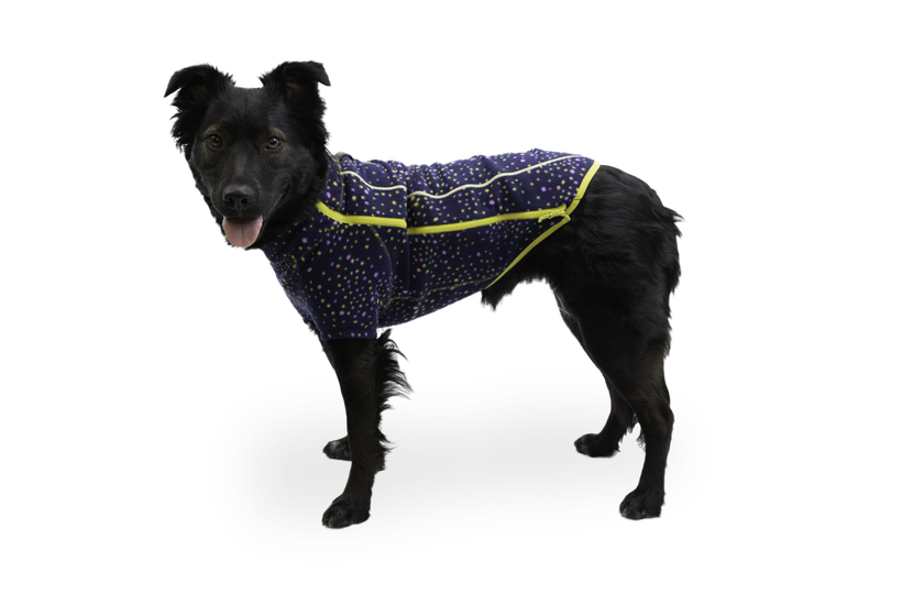Ruffwear climate changer sales jacket