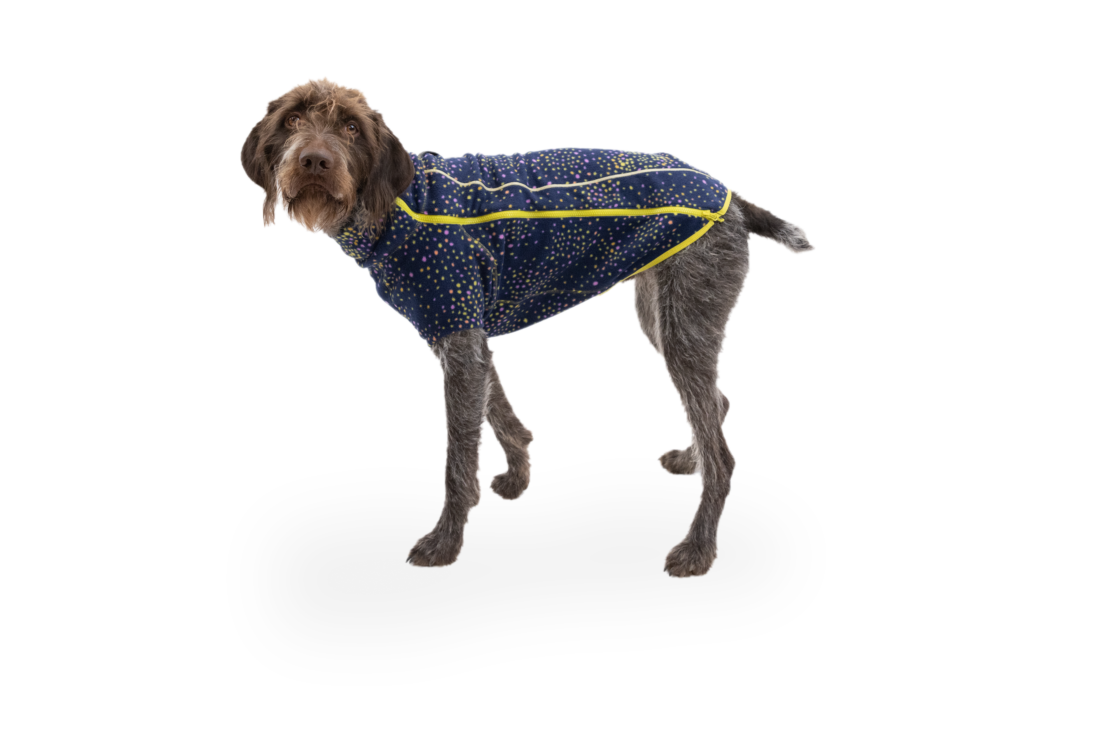 Climate Changer Dog Fleece Sweater Ruffwear