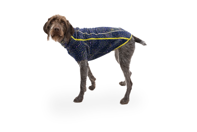 Ruffwear climate changer best sale