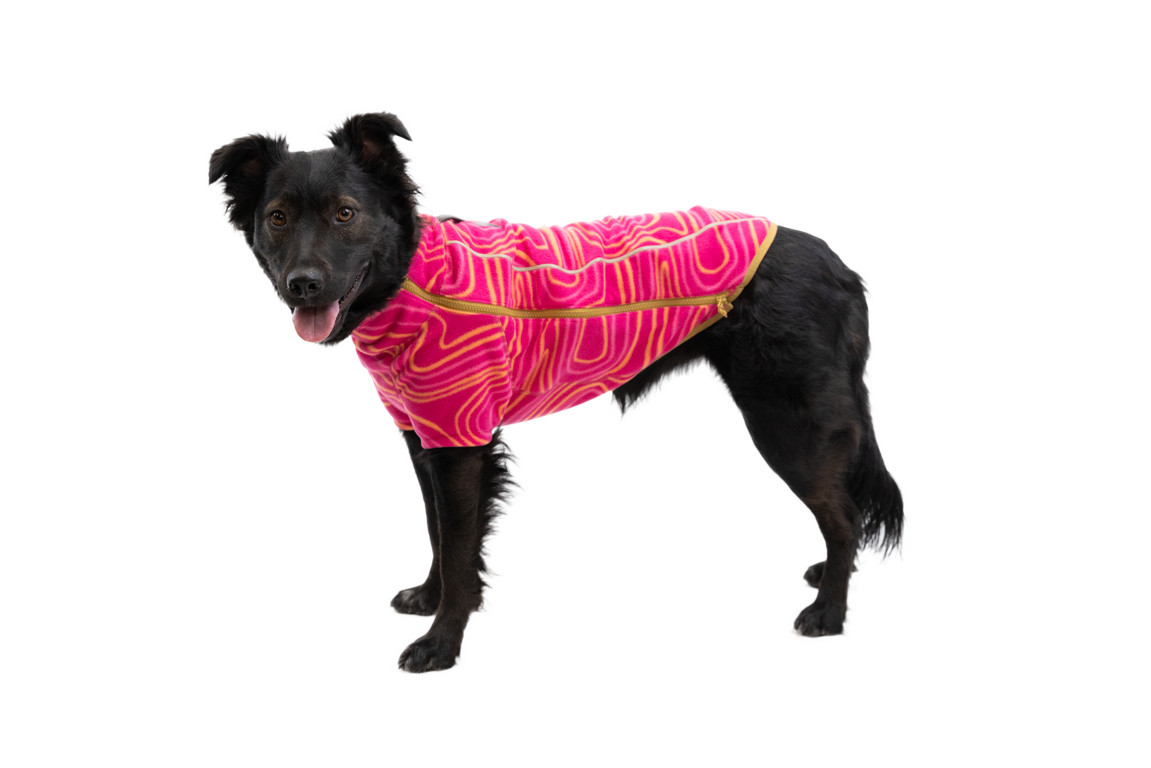 Climate Changer Dog Fleece Sweater Ruffwear