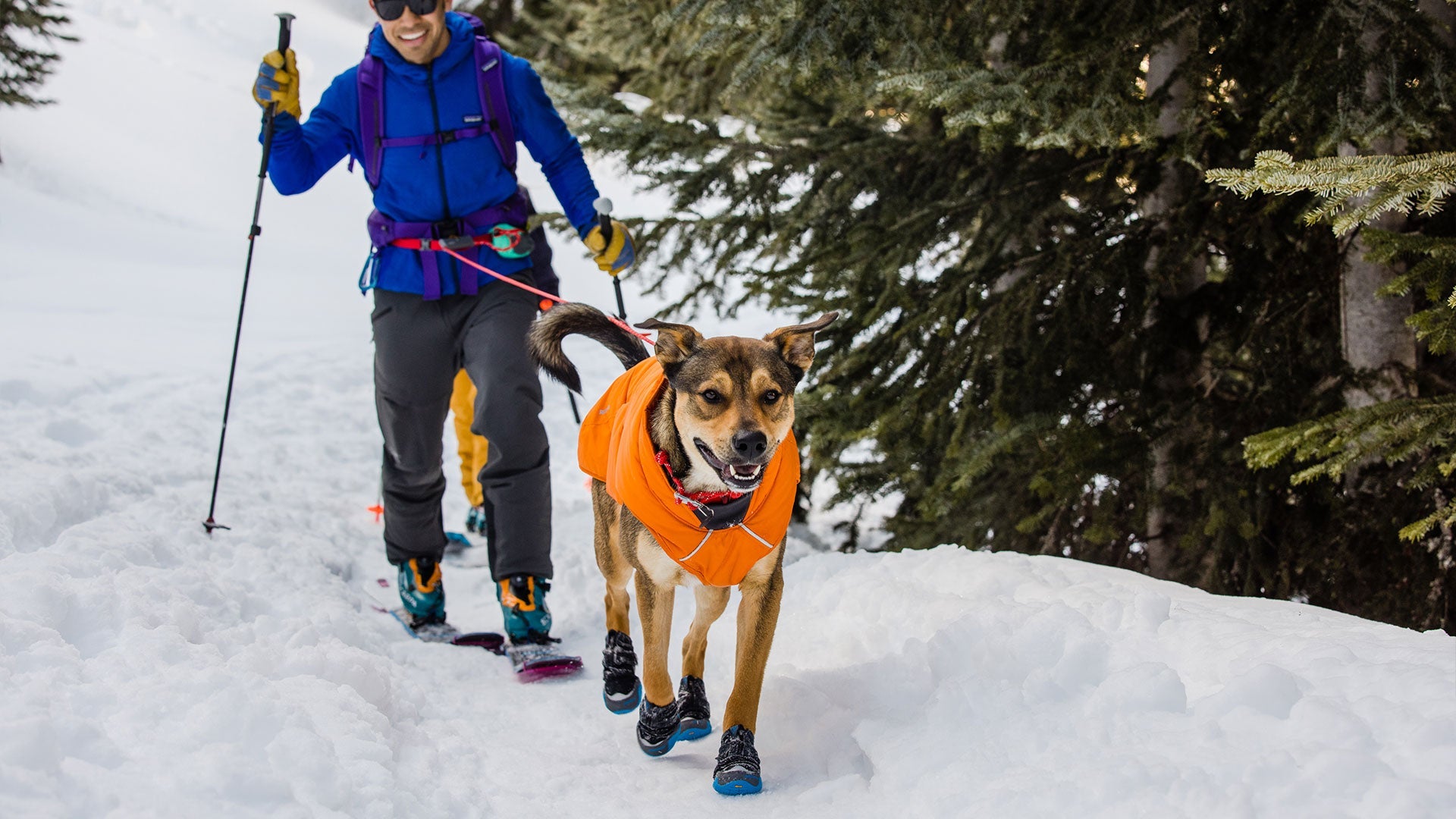 Ruffwear quinzee outlet insulated dog jacket