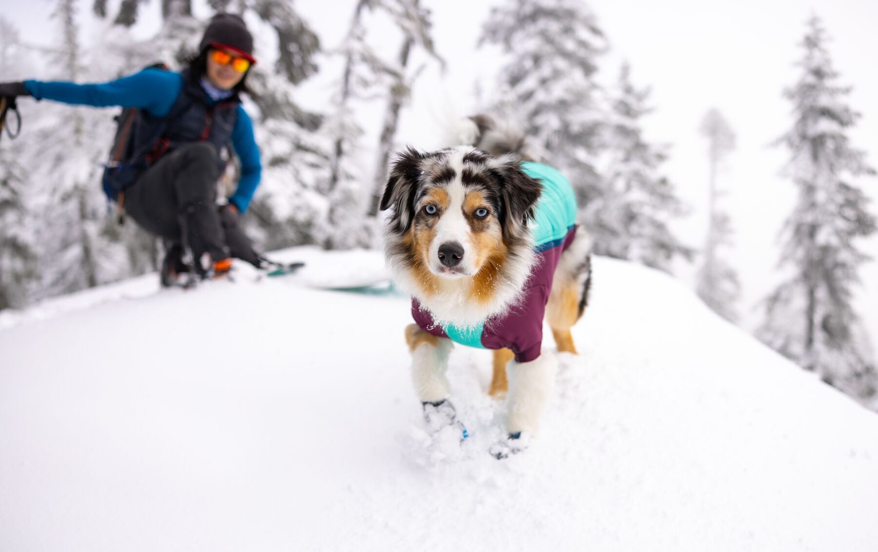 Innovative Insulation Ruffwear