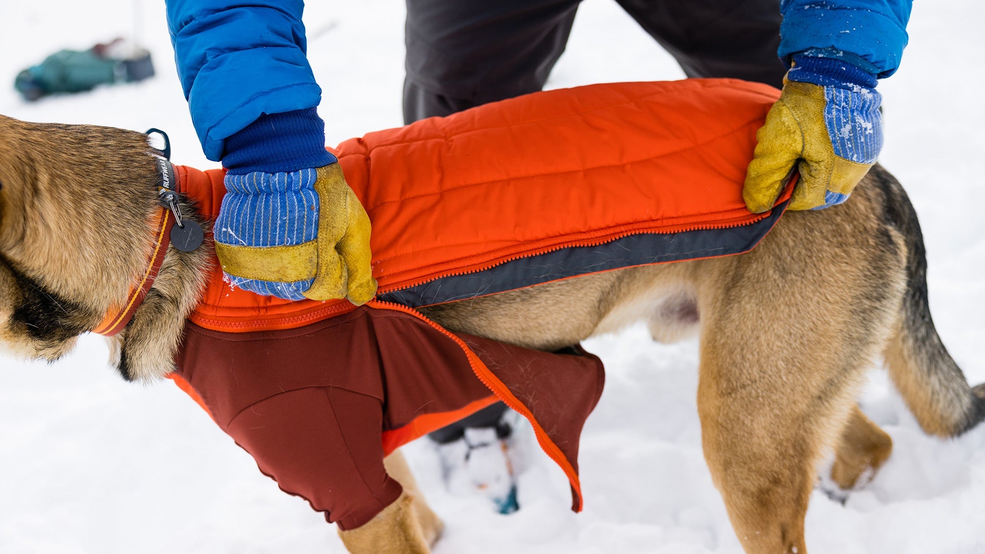 Ruffwear sweater outlet