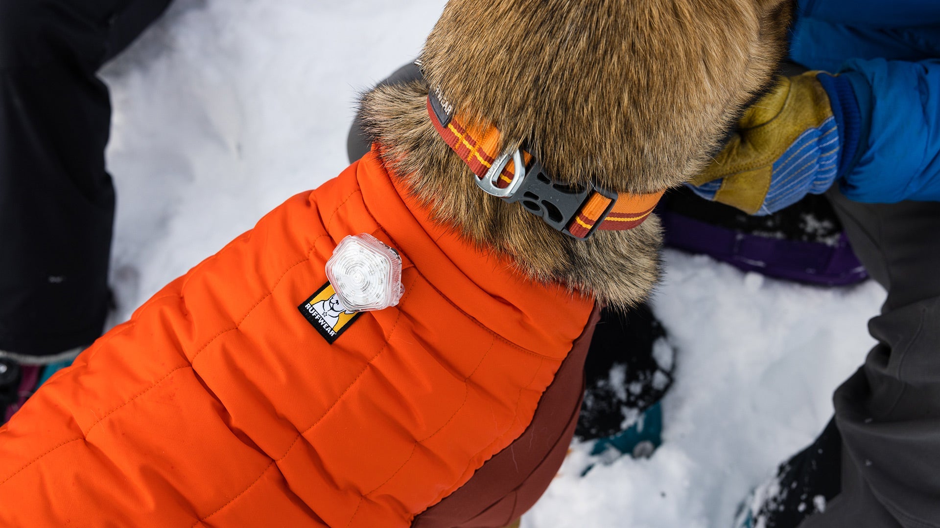 Ruffwear powder sale