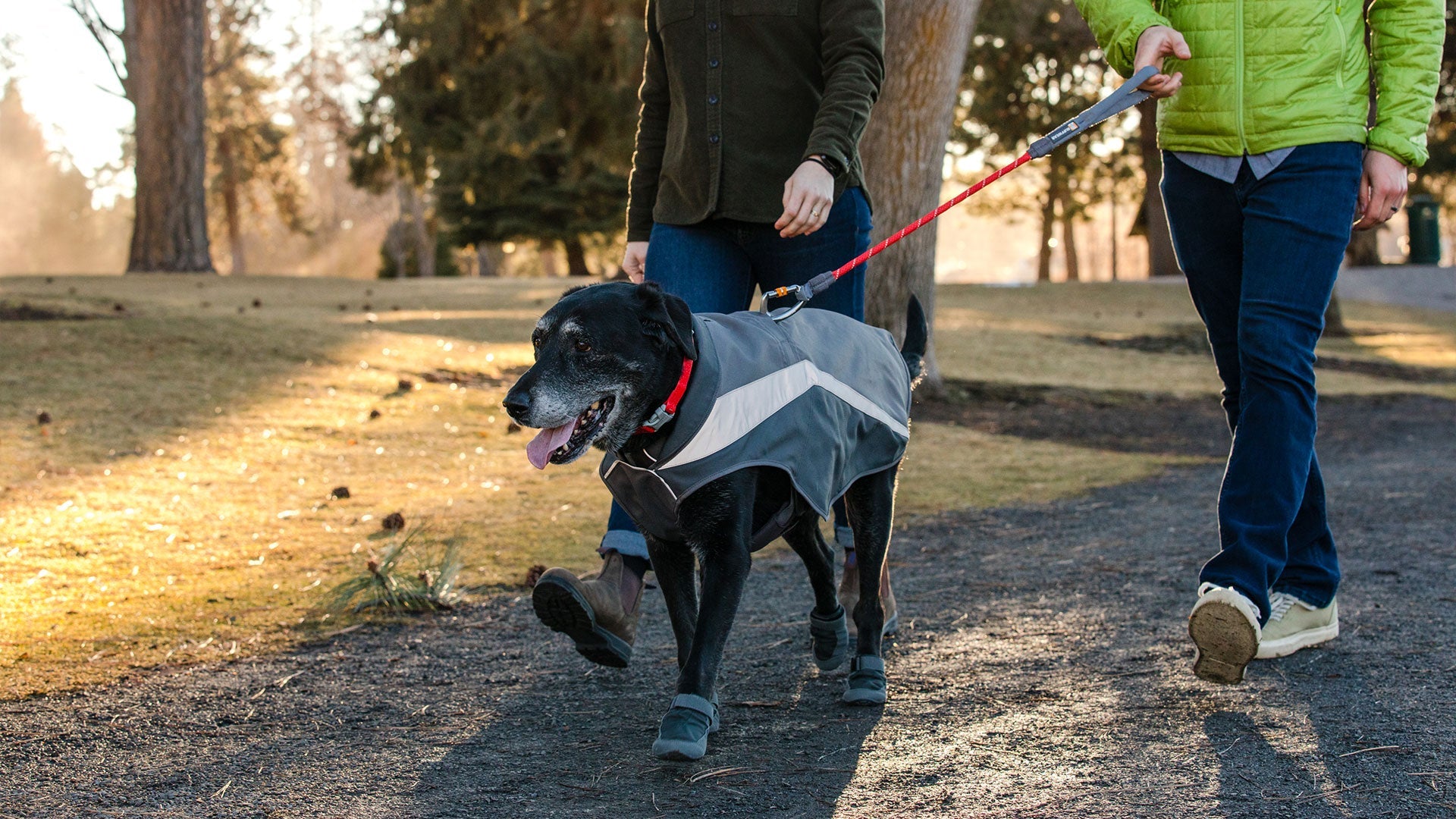 Ruffwear orange clearance vest