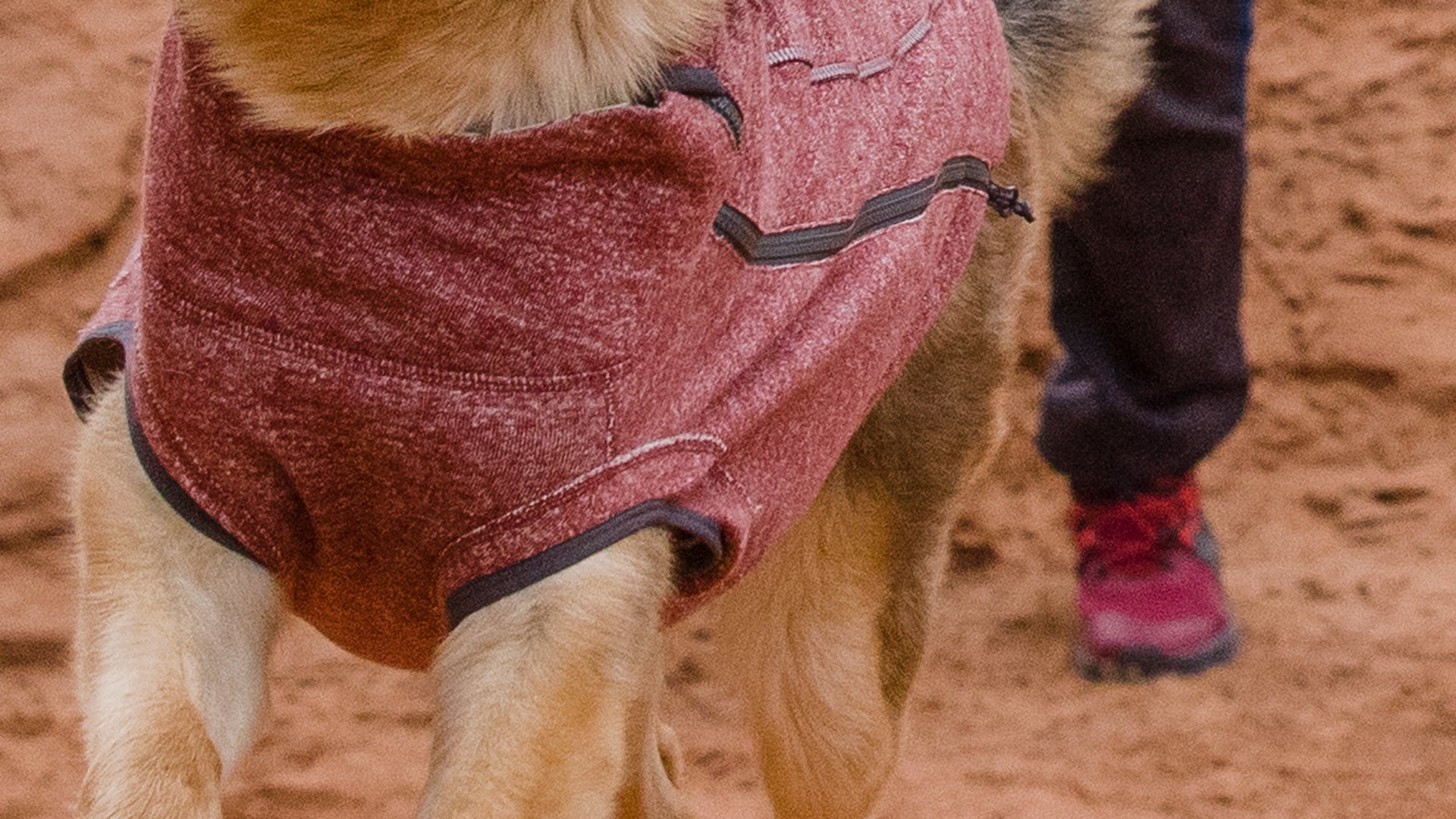 Ruffwear sweater hotsell knit fleece