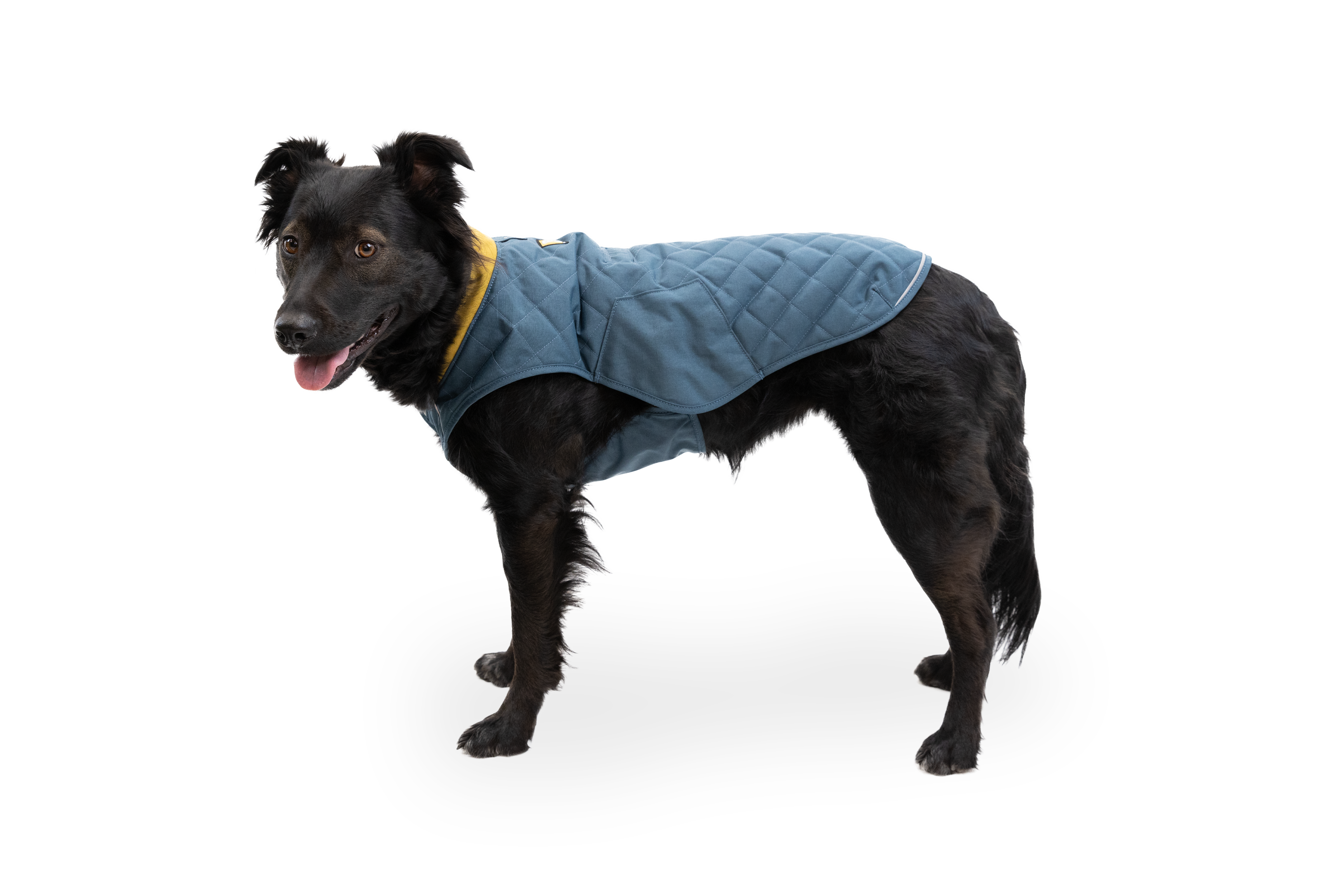 Stumptown Quilted Dog Coat Ruffwear