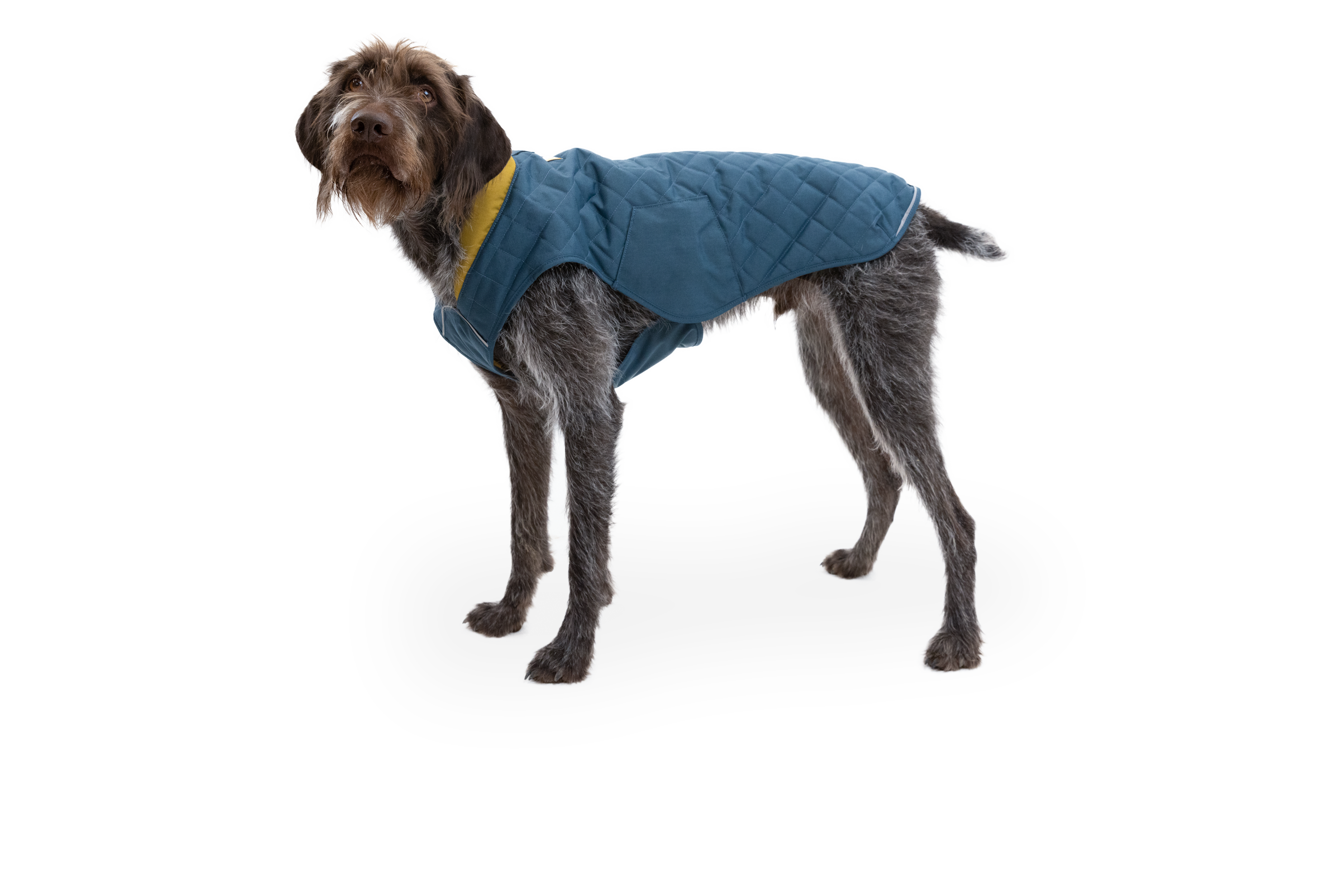 Stumptown Quilted Dog Coat Ruffwear