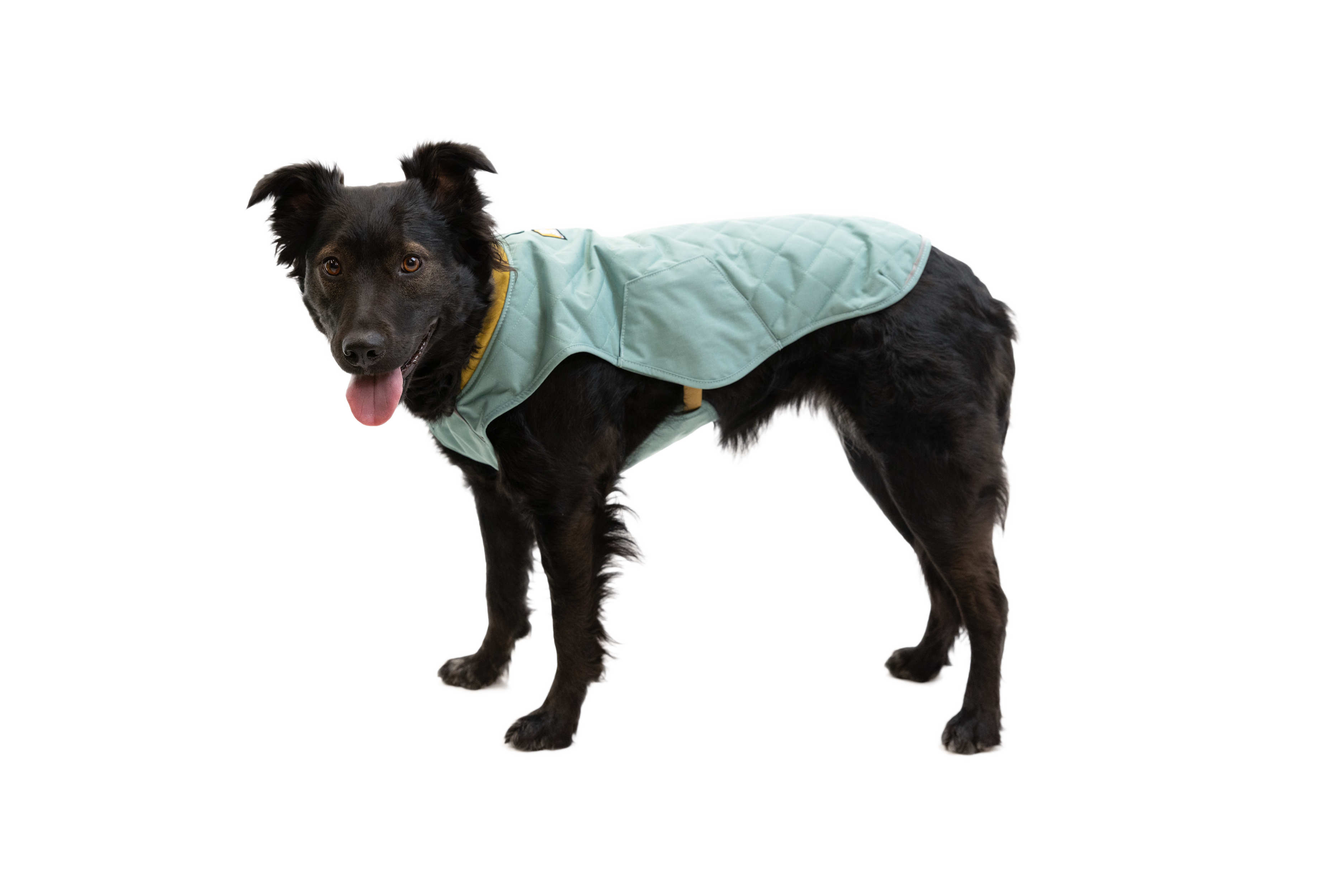 Stumptown Quilted Dog Coat