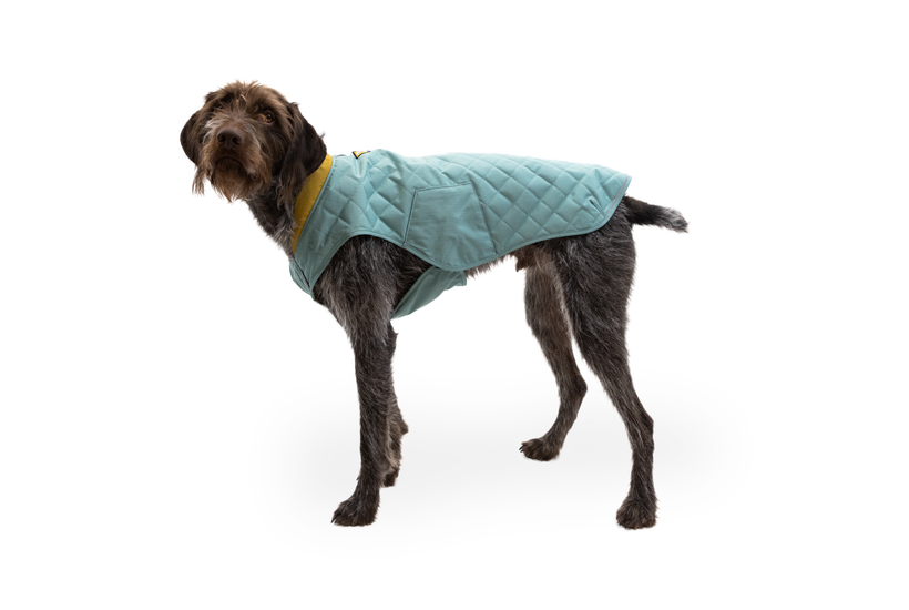 Ruffwear online insulated jacket