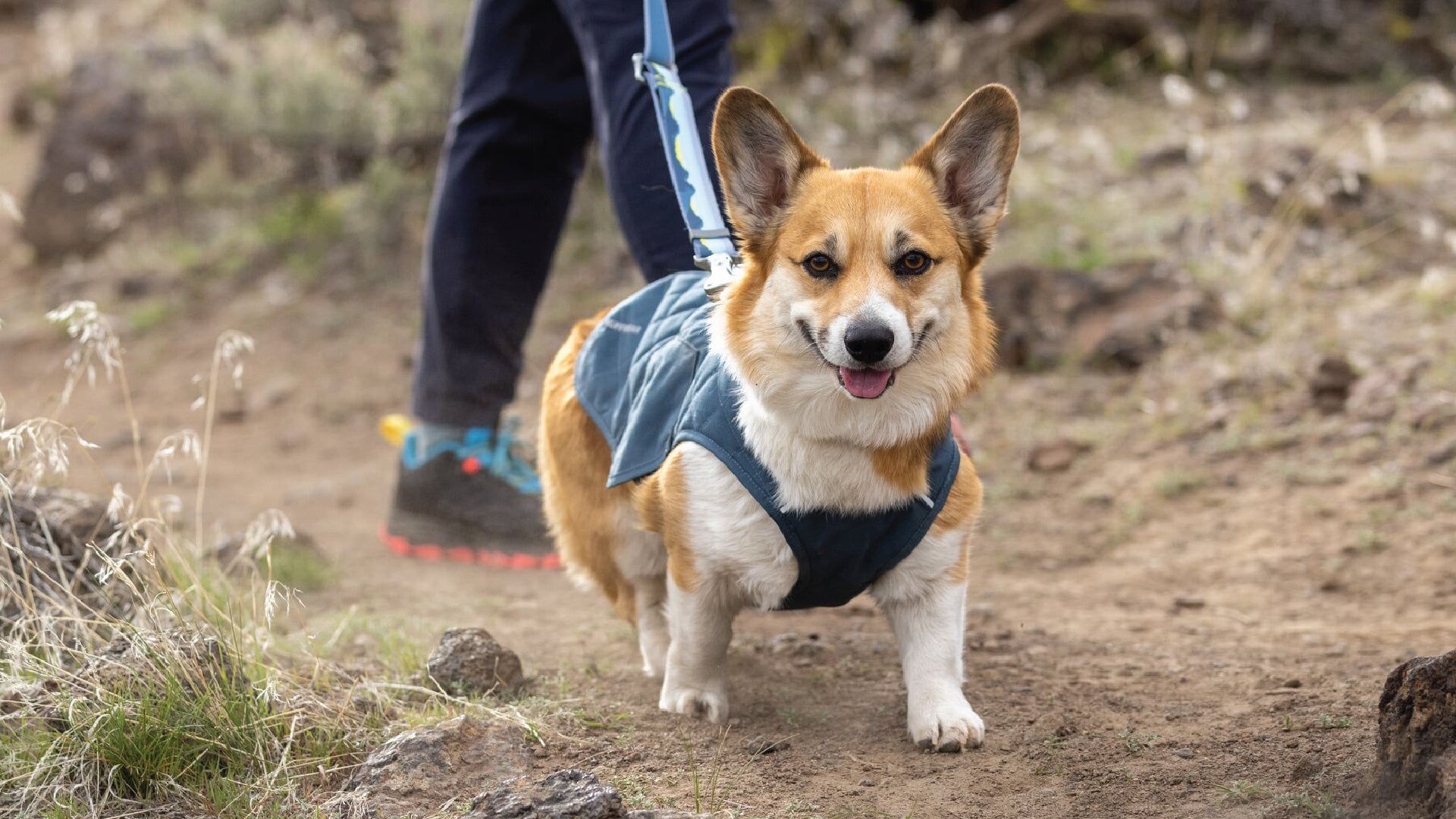 Ruffwear shop stumptown jacket