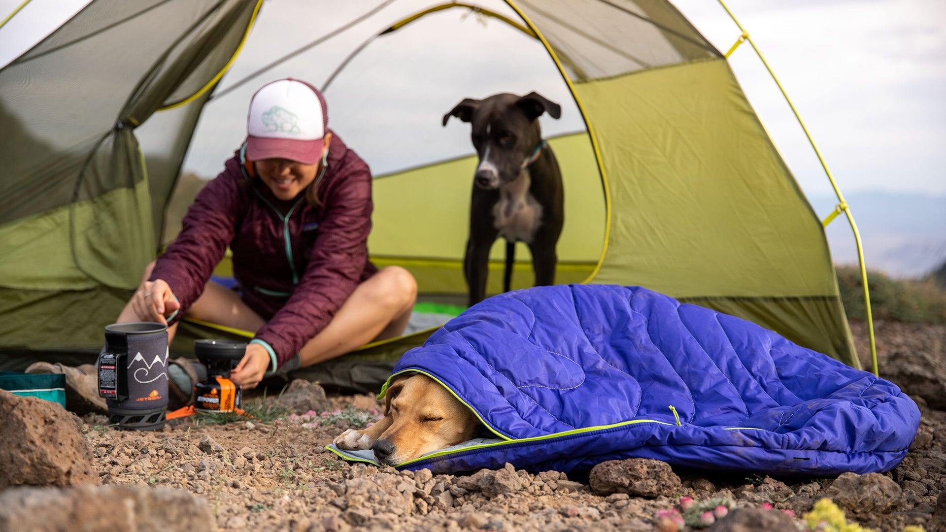 Dog sleeping hotsell bag uk