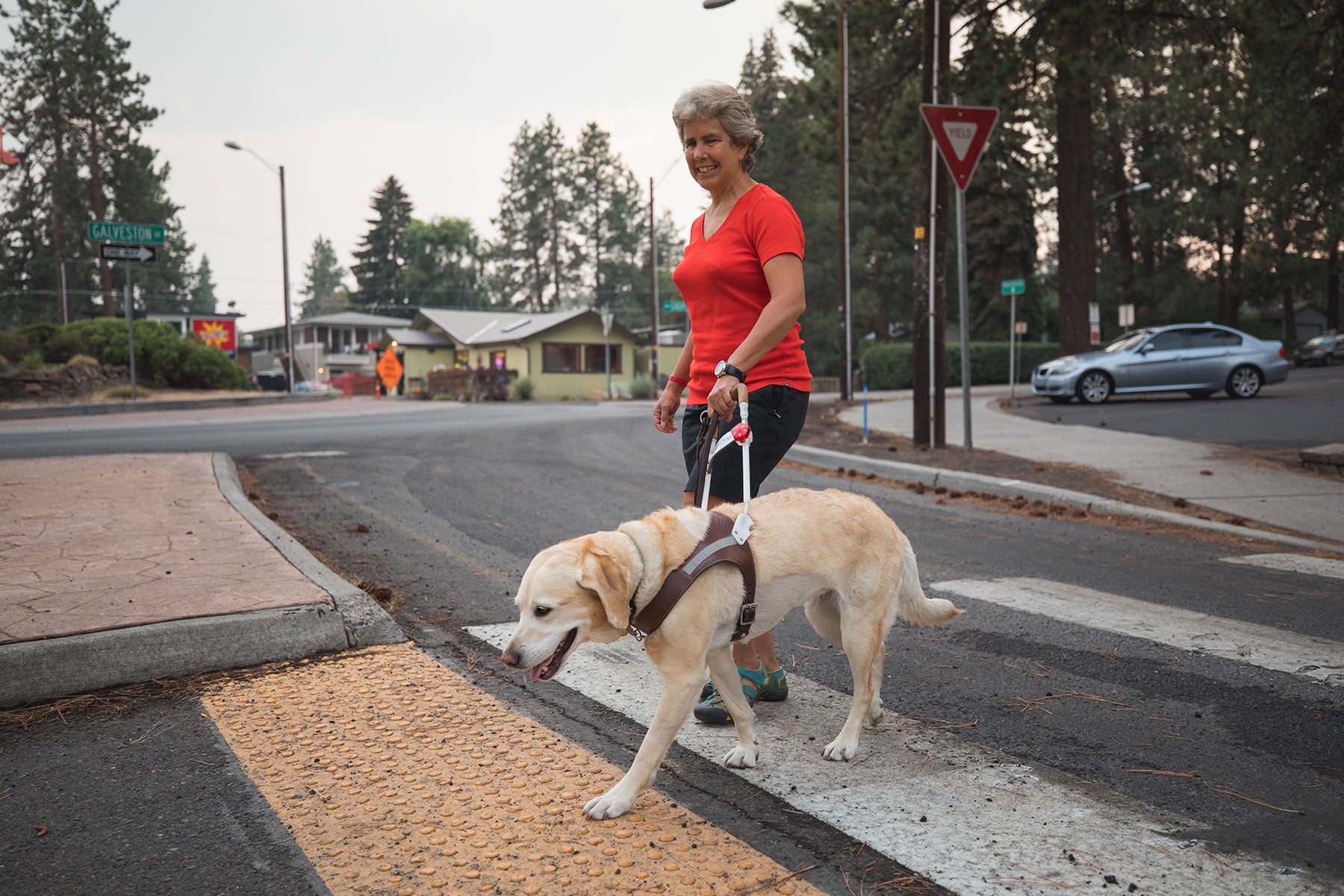 Audible Beacon Safety Light for Guide Dogs and the Blind Ruffwear