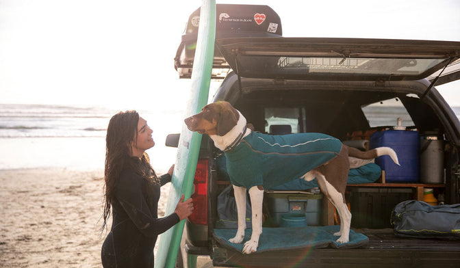 Woman rests surfboard up against truck on the beach while dog in fernie sweater greets her from the tailgate.