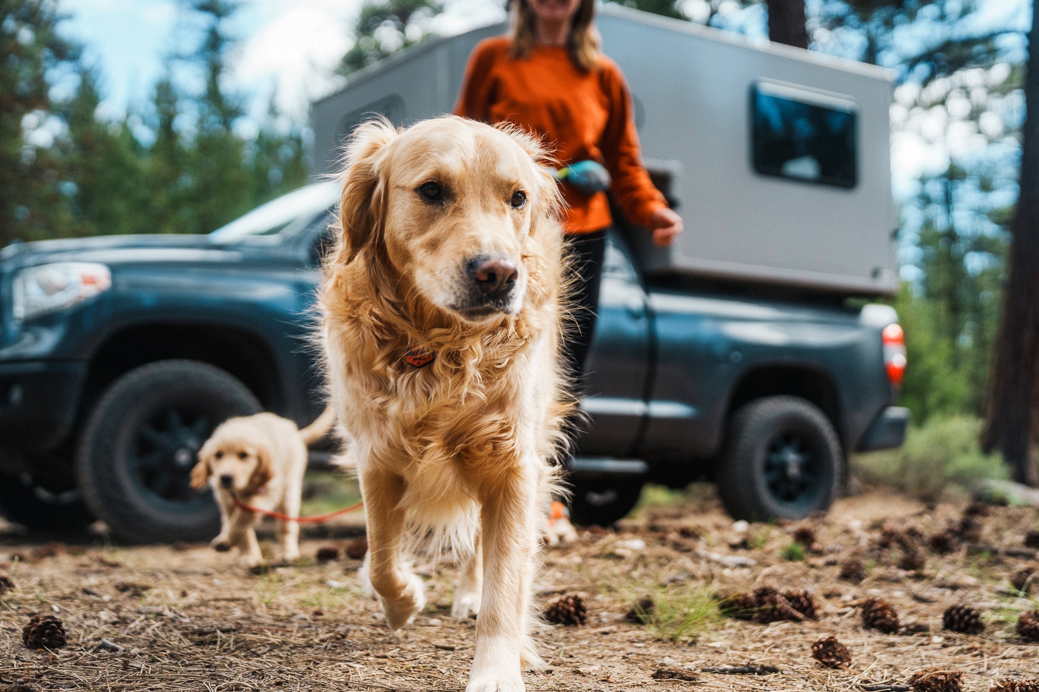 Nate Dani Ranger Lemon Ruffwear