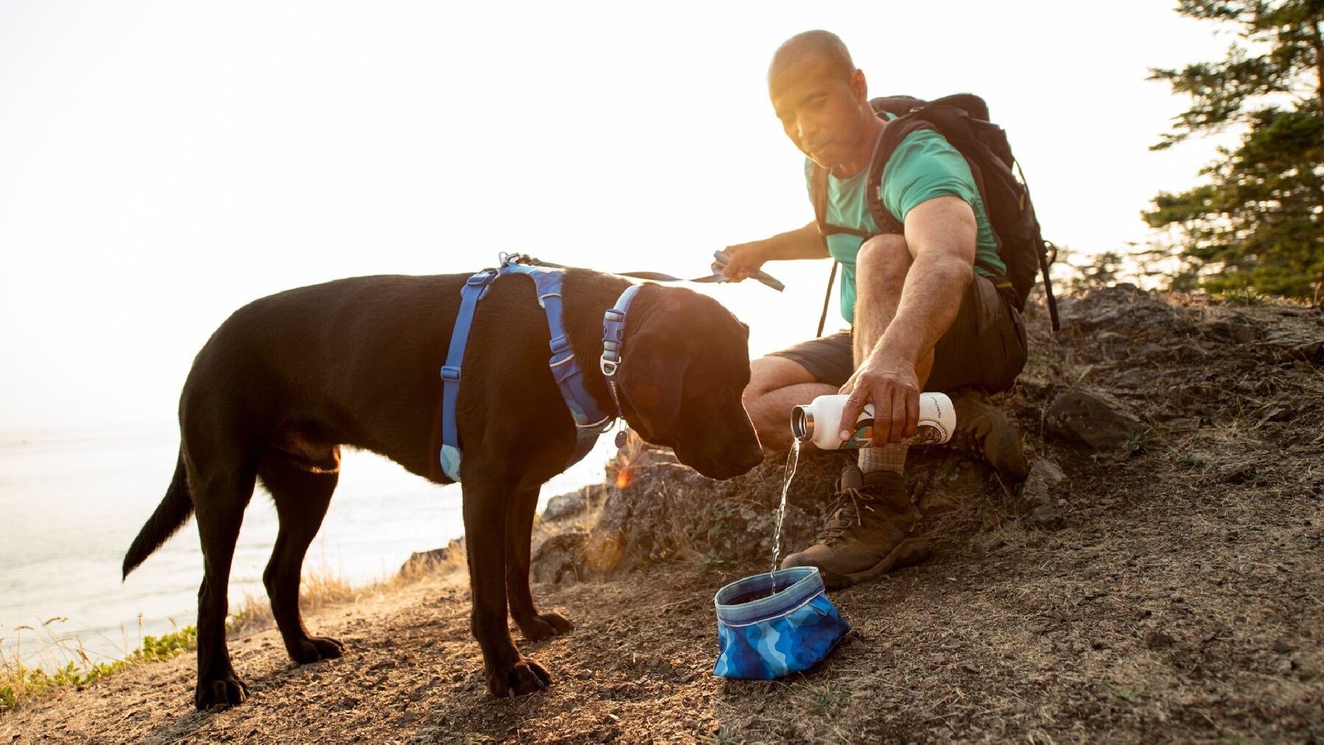 Quencher Packable Dog Bowl Ruffwear