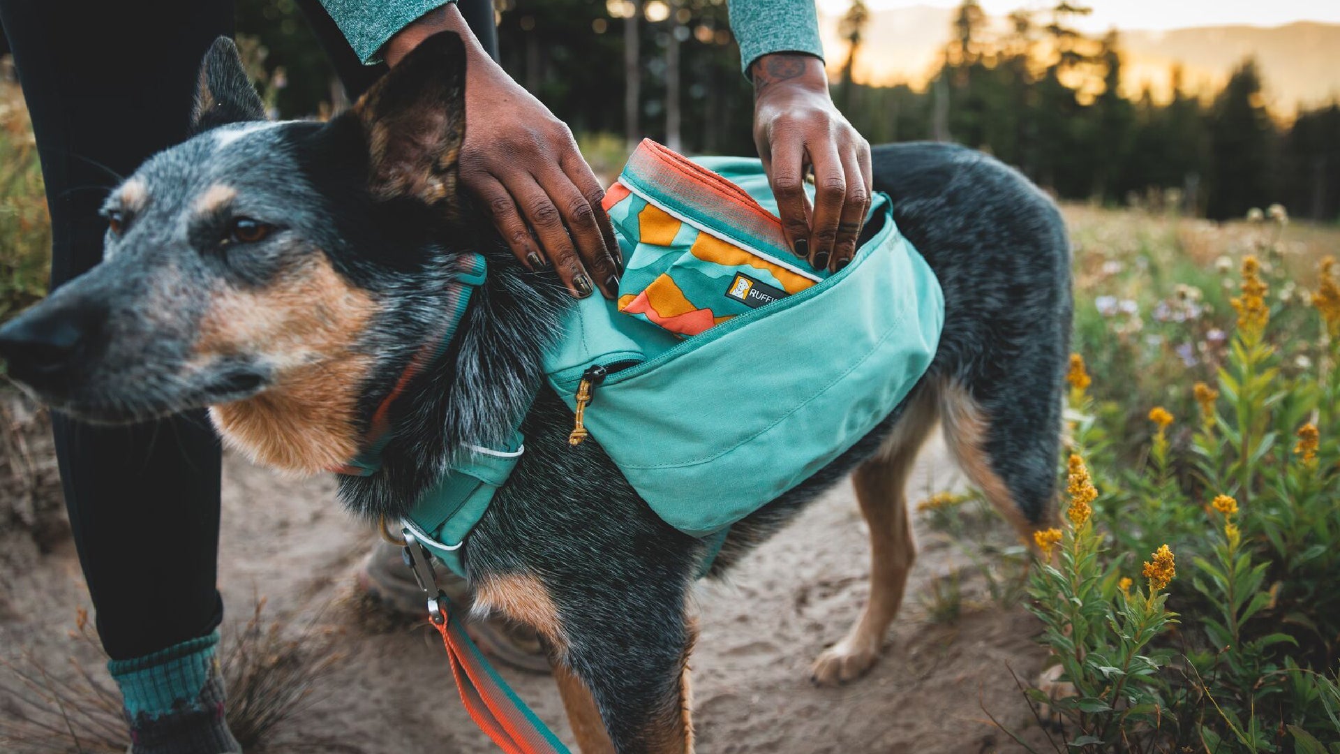 Quencher Packable Dog Bowl Ruffwear