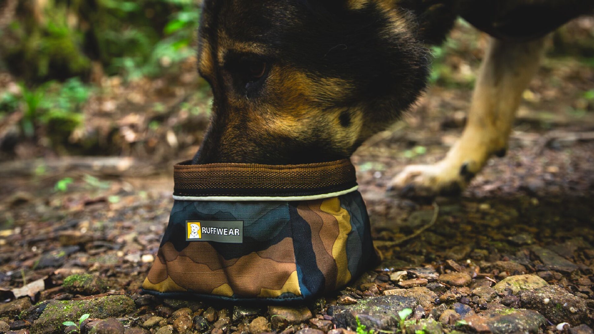 Quencher Packable Dog Bowl Ruffwear