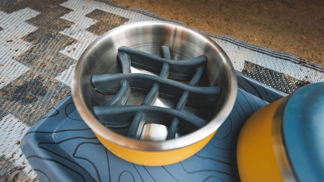 Nature-Inspired Design