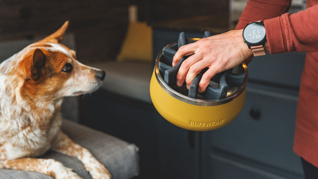 Removable Dishwasher Safe