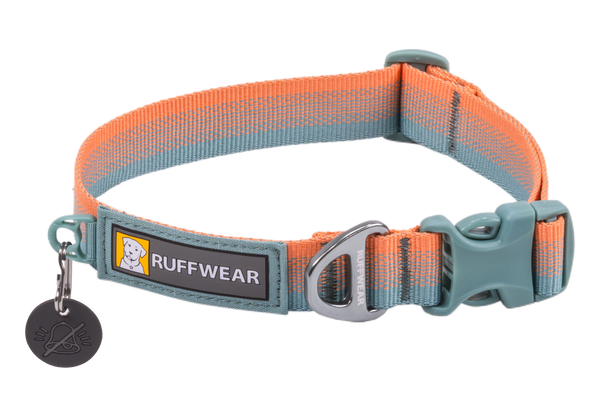 Rugged top dog collar