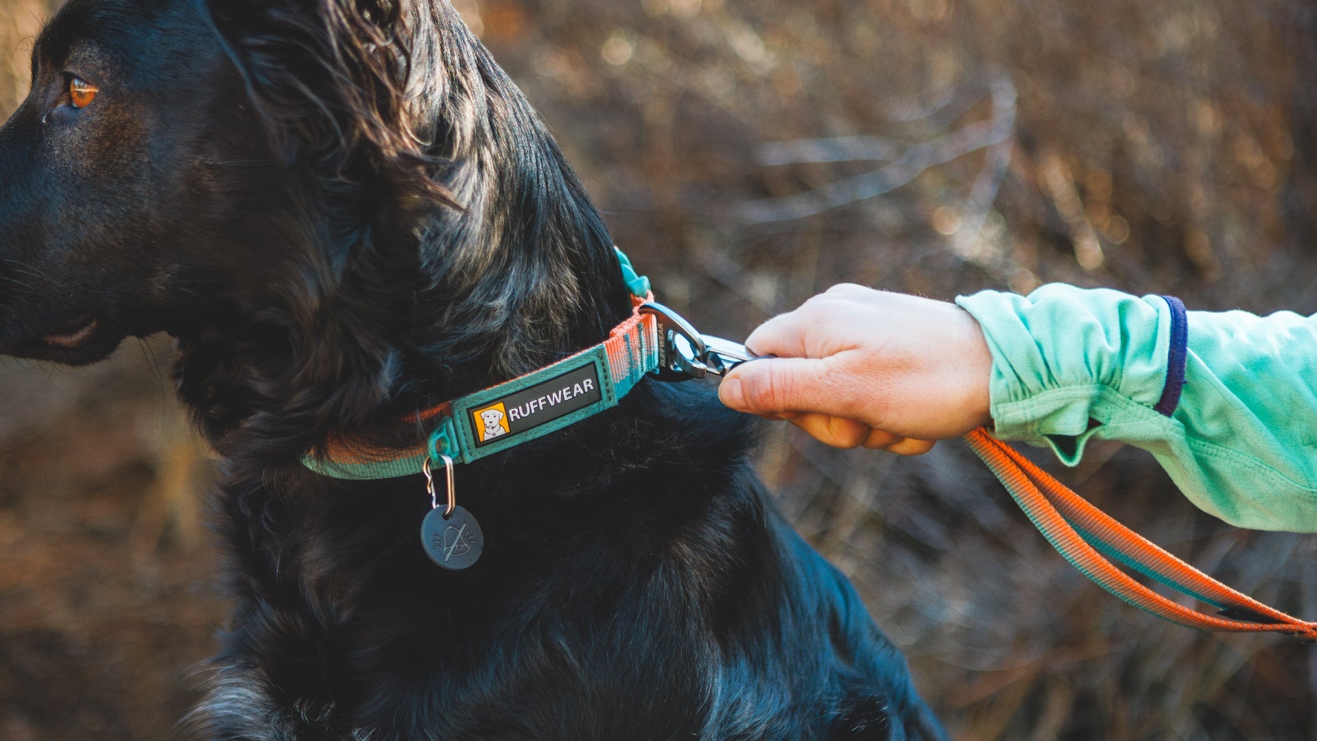 Ruffwear headwater dog outlet collar