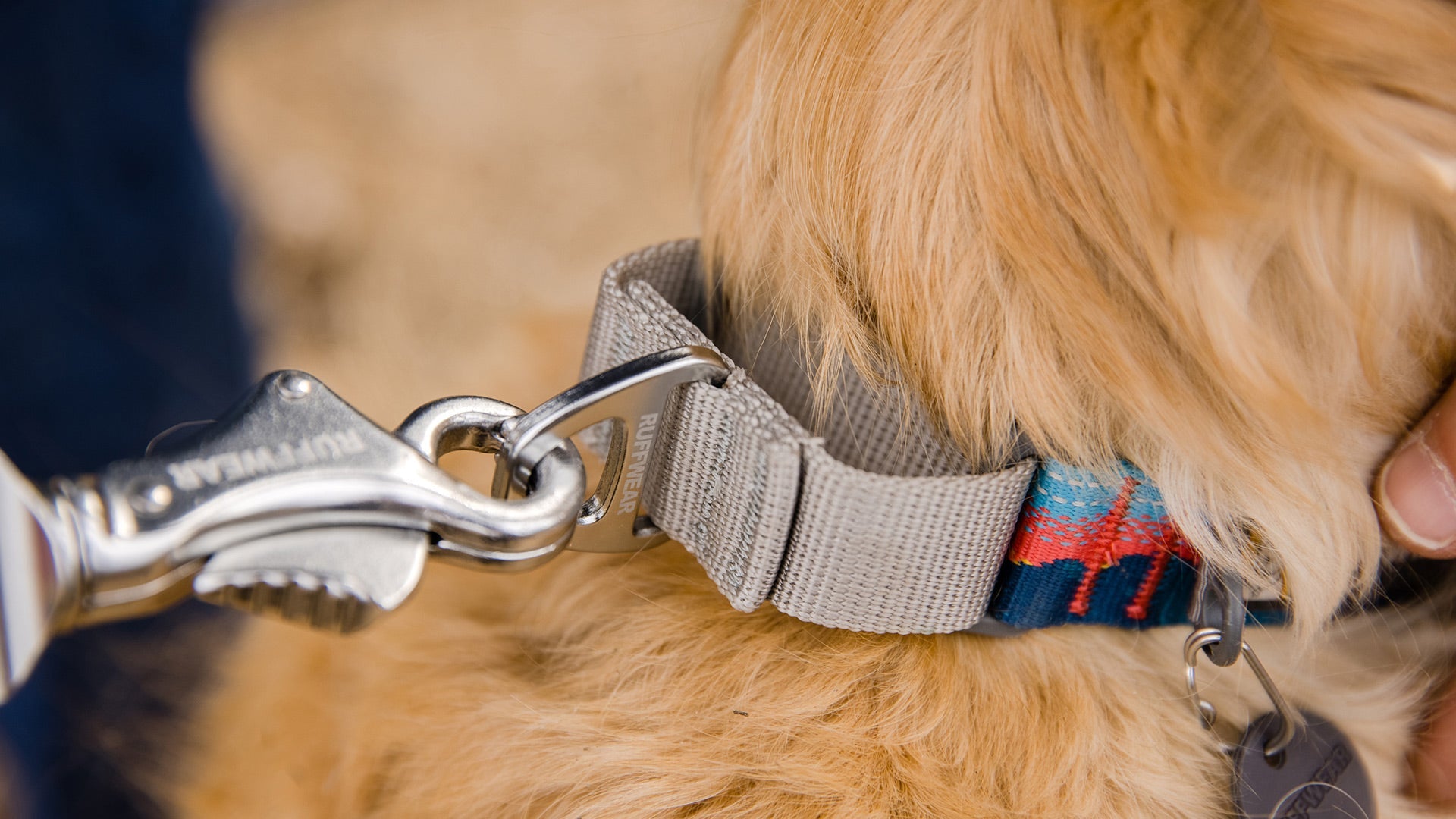 Web Reaction Martingale Dog Collar With Buckle Ruffwear