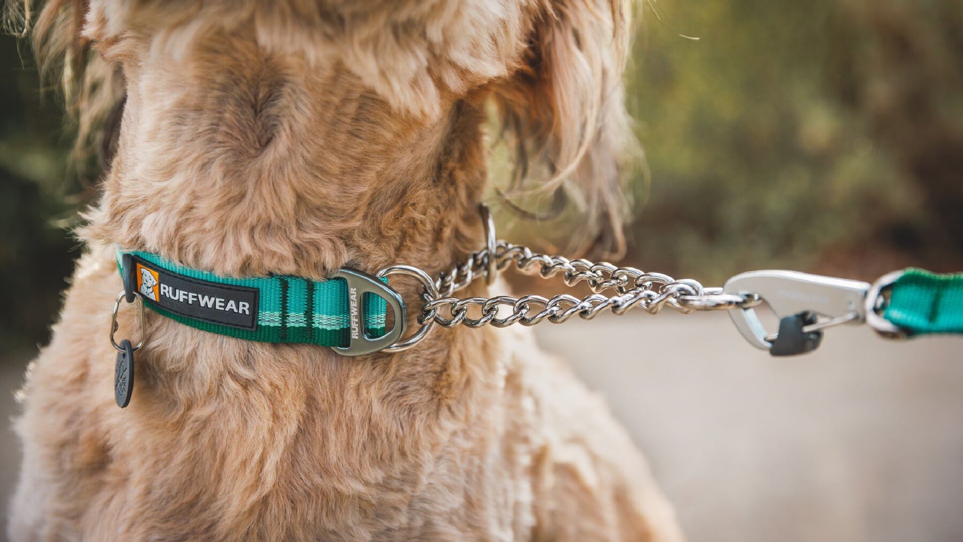 Chain Reaction Martingale Dog Collar Ruffwear