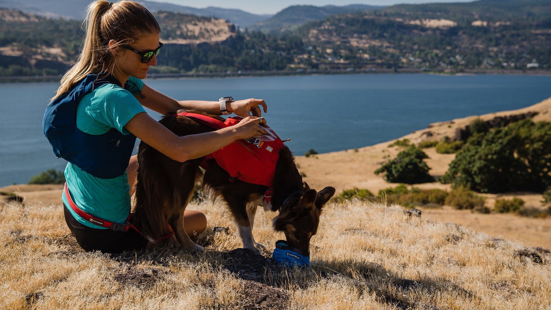 Switchbak Multi Function Dog Harness Ruffwear