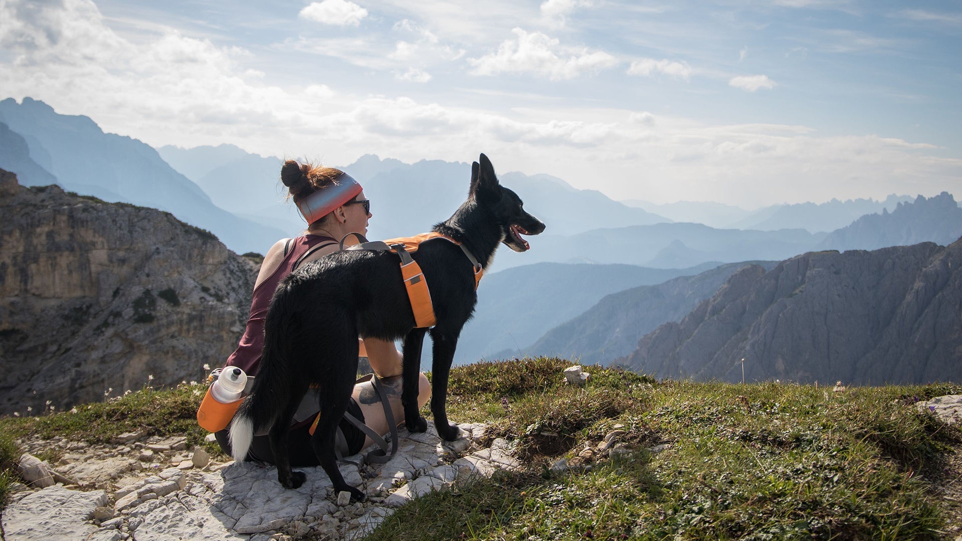 Omnijore Dog Joring System