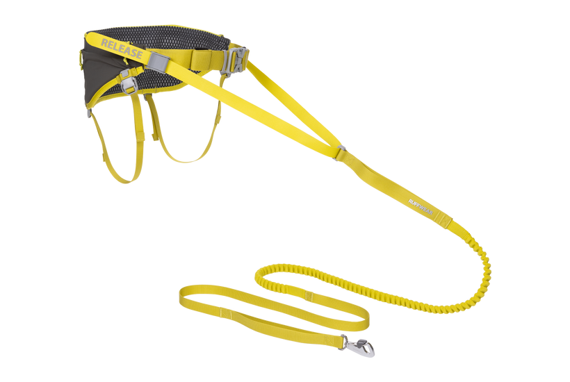 Ruffwear skijoring best sale