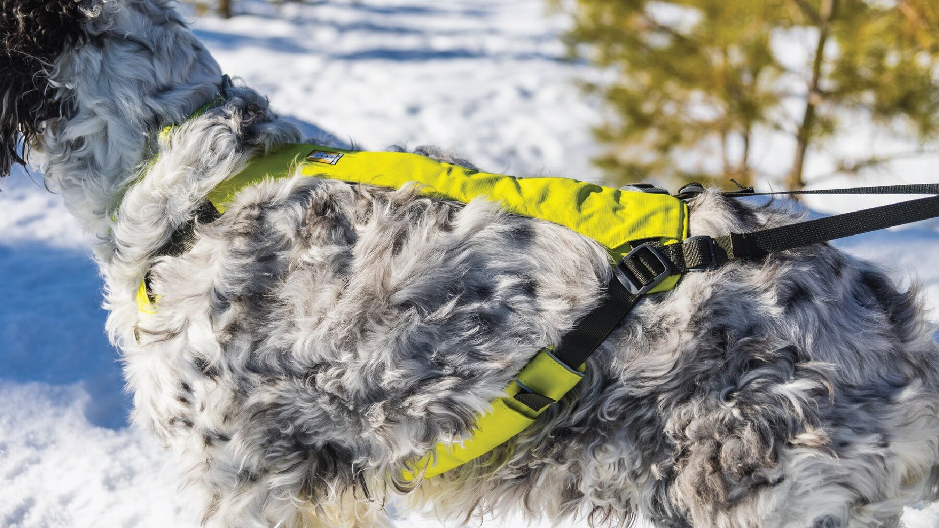 Ruffwear omnijore shop hip belt