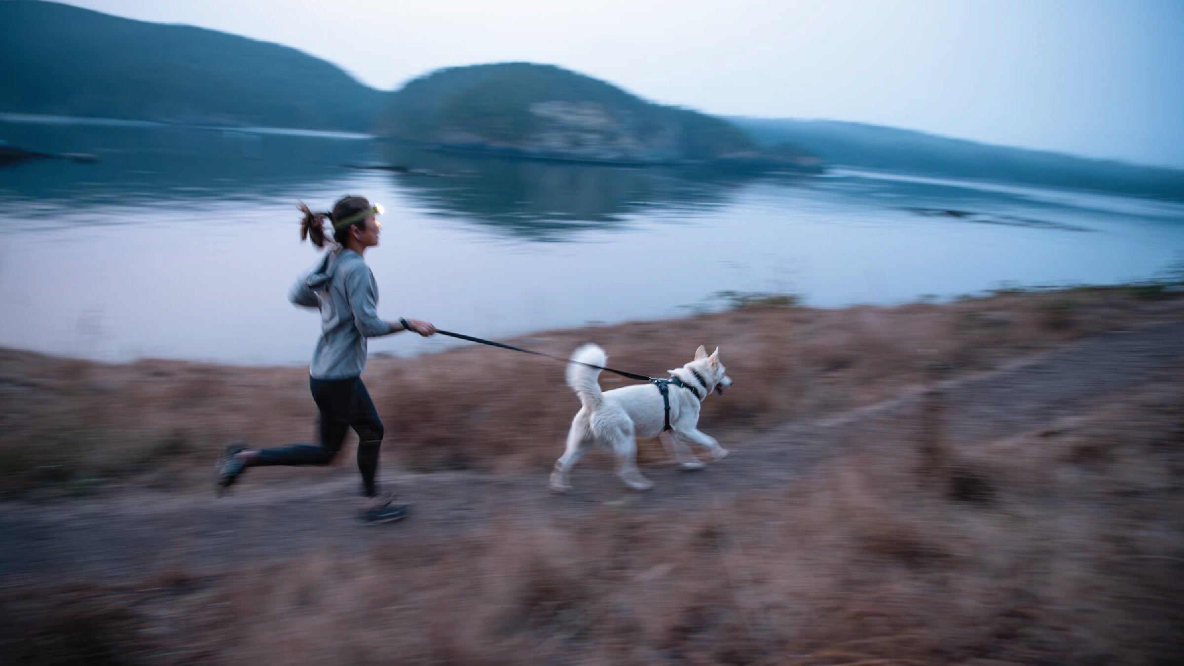 Exploring Politely On Leash Using the Front Range Harness Ruffwear