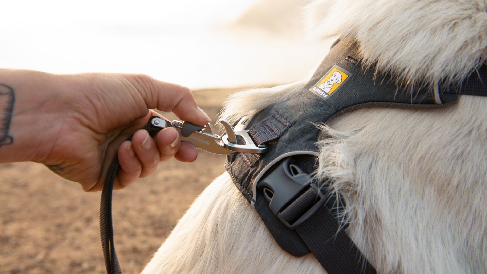 Front Range Dog Harness Ruffwear