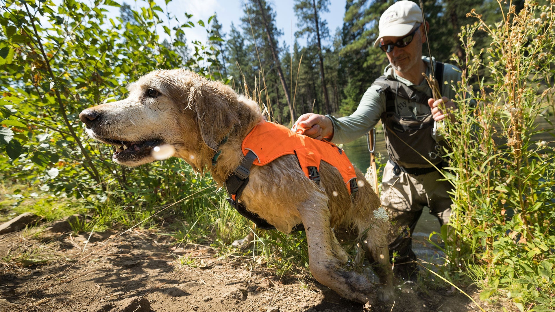 Ruffwear 2025 brush guard