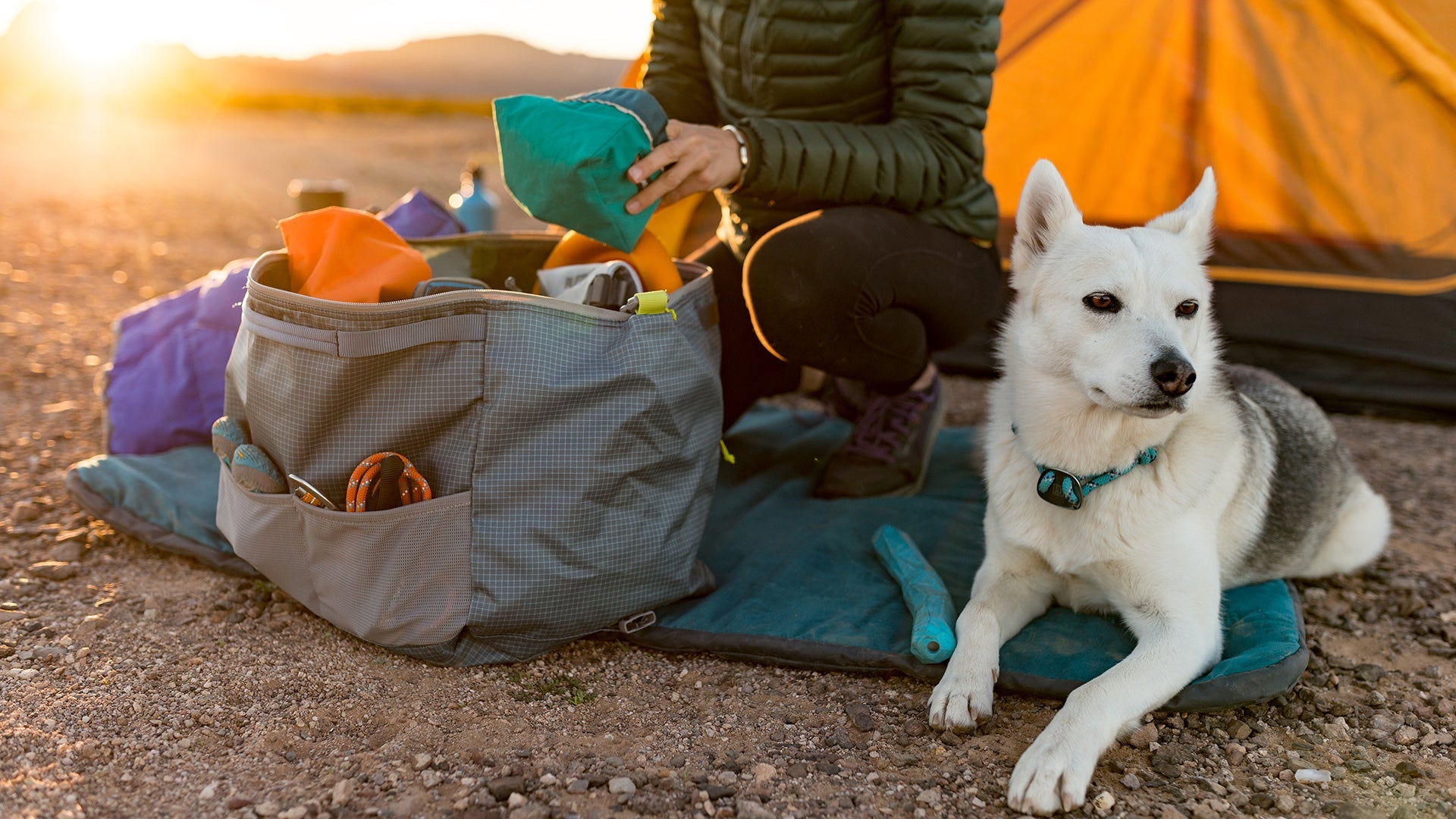 Ruffwear haul clearance bag