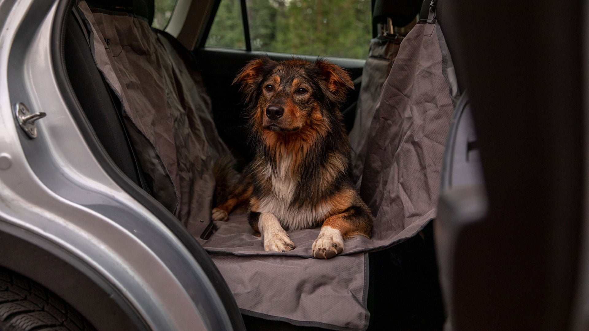 Ruffwear dirtbag shop seat cover