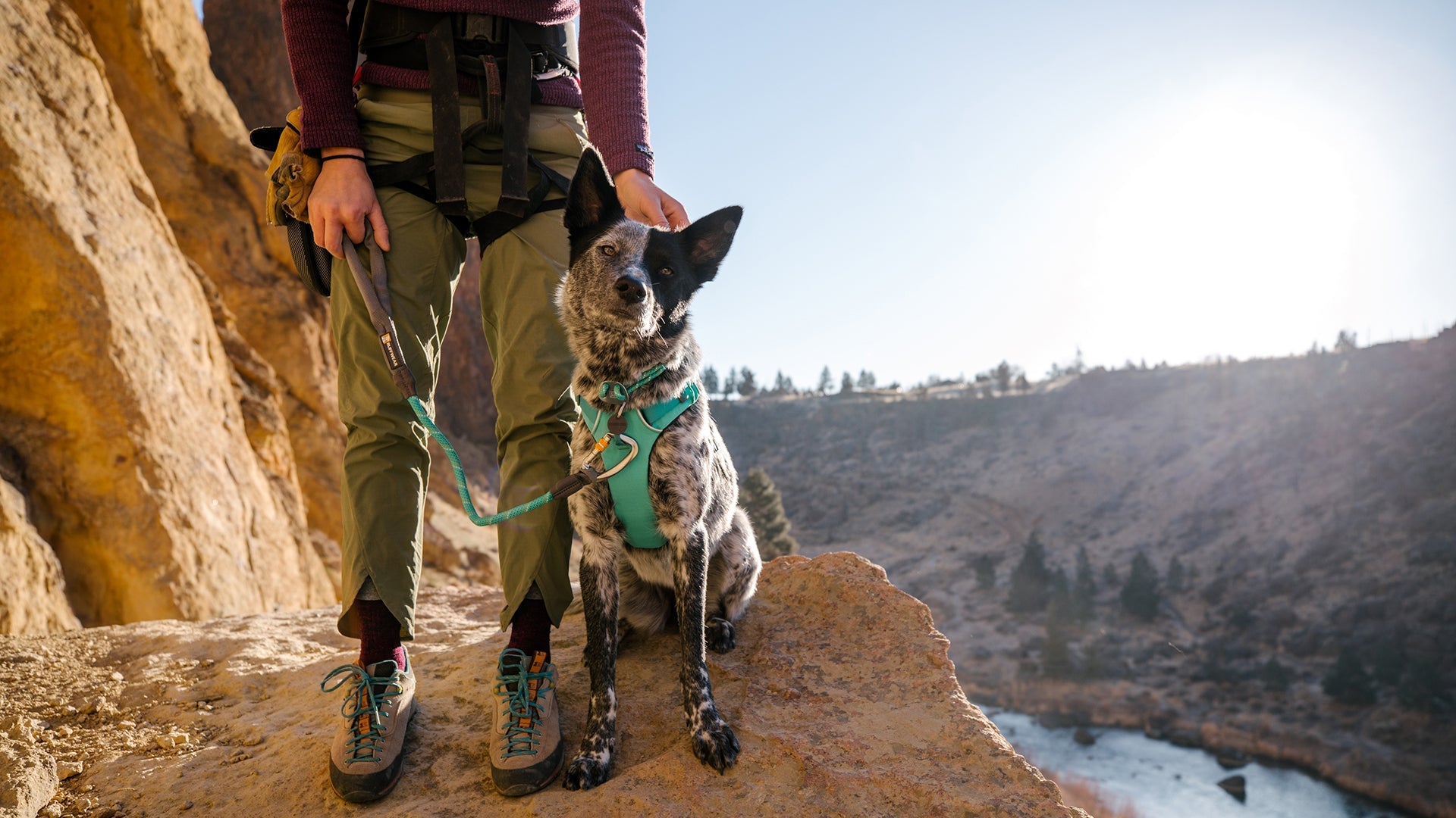 Knot a Long Rope Dog Leash with Carabiner Ruffwear